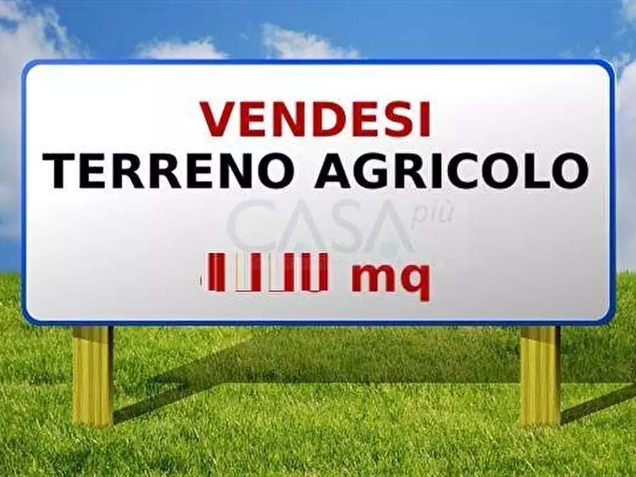 Immagine 7 di Terreno agricolo in vendita  in Contrada Cese a Castel Di Lama