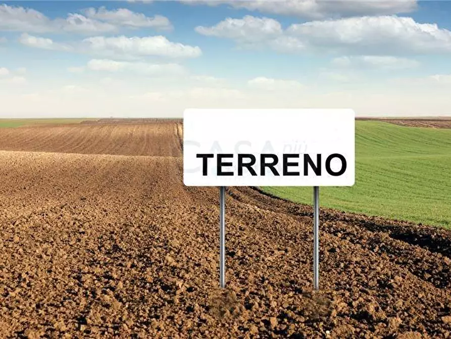 Immagine 1 di Terreno agricolo in vendita  in Contrada Cese a Castel Di Lama