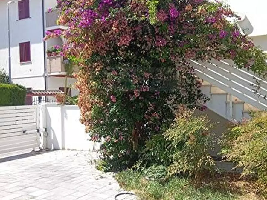 Immagine 16 di Appartamento in vendita  in Via etruria a Alba Adriatica