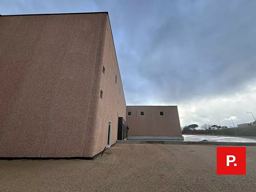 Immagine 2 di Capannone industriale in affitto  in caserta sud a Caserta