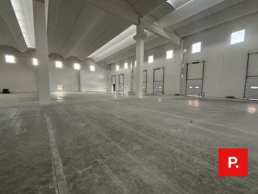 Immagine 9 di Capannone industriale in affitto  in caserta sud a Caserta