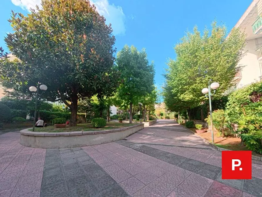 Immagine 3 di Appartamento in vendita  in VIA G.M AGNESI 15 a Caserta