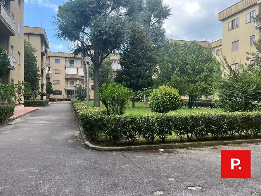 Immagine 9 di Appartamento in affitto  in via ferrarecce 197 a Caserta