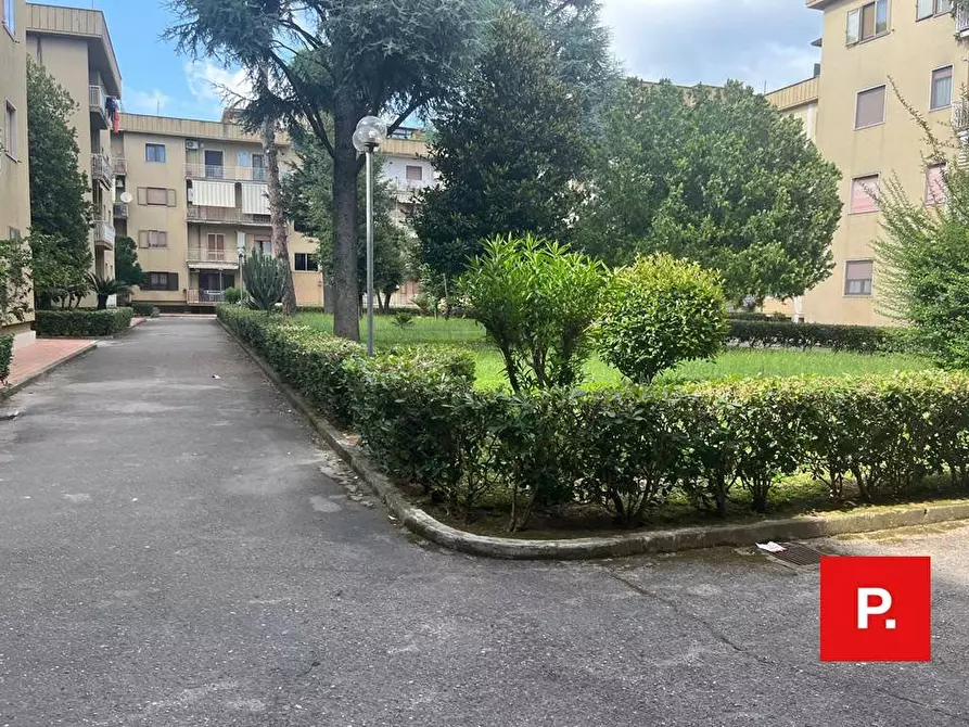 Immagine 42 di Appartamento in affitto  in via ferrarecce 197 a Caserta