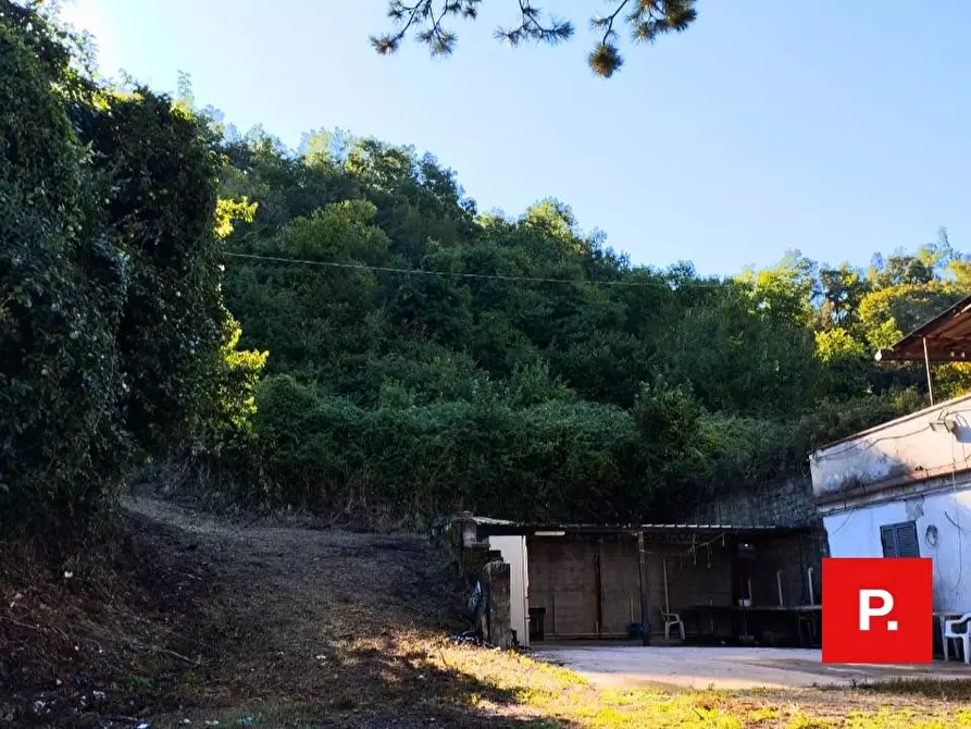 Immagine 2 di Casa indipendente in vendita  in SP 328 a Rocca D'evandro