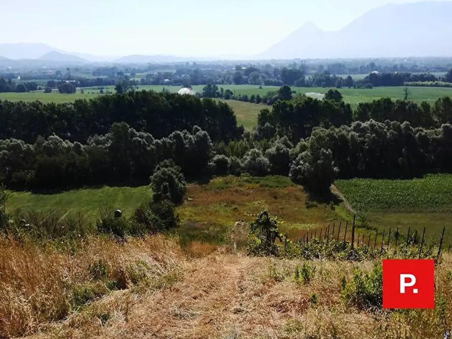 Immagine 19 di Villa in vendita  in via Sottovia a Ruviano