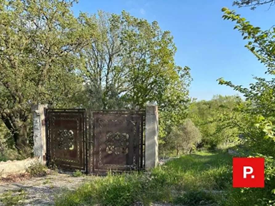 Immagine 38 di Villa in vendita  in via Sottovia a Ruviano