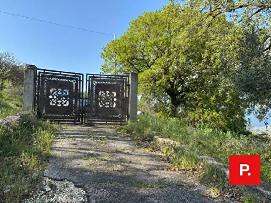 Immagine 42 di Villa in vendita  in via Sottovia a Ruviano