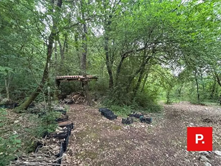 Immagine 41 di Villa in vendita  in Via Scese Lunghe a Capodrise