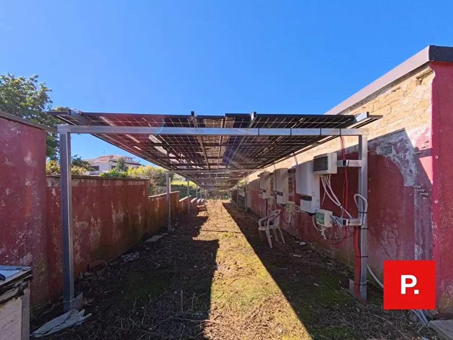 Immagine 40 di Villa in vendita  in via dario russo a Caserta