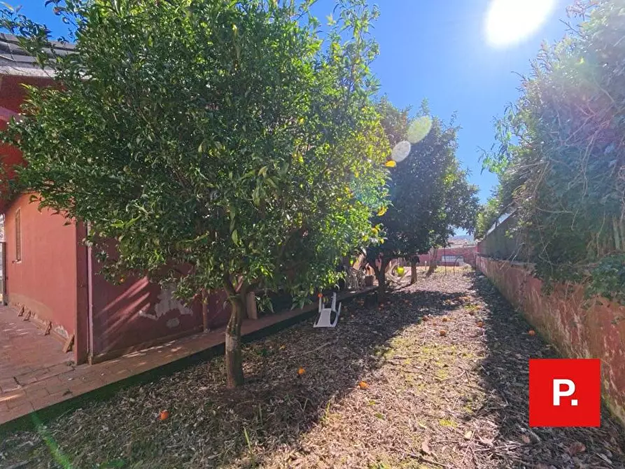 Immagine 42 di Villa in vendita  in via dario russo a Caserta