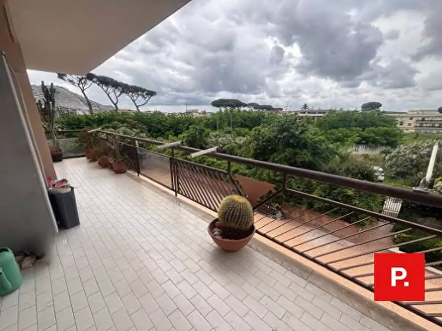 Immagine 16 di Appartamento in vendita  in Largo della Mimosa 8 a Caserta