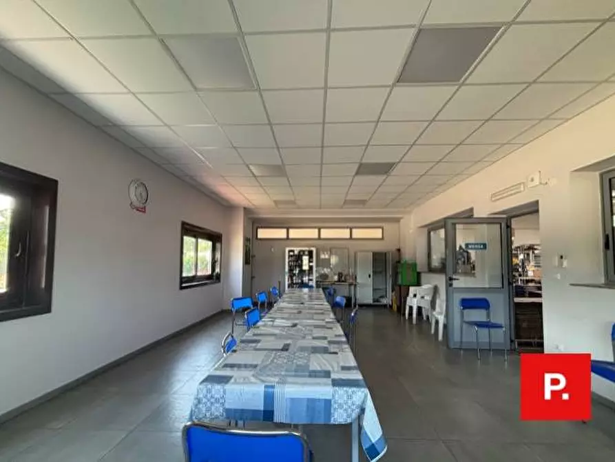 Immagine 8 di Capannone industriale in vendita  in SS 158 a Caiazzo