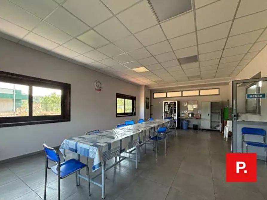 Immagine 9 di Capannone industriale in vendita  in SS 158 a Caiazzo