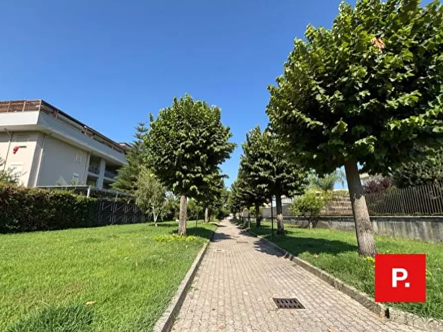 Immagine 25 di Appartamento in affitto  in Via Campania 1 a Caserta