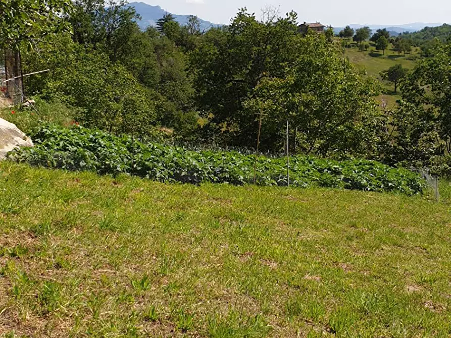 Immagine 17 di Appartamento in vendita  in strada scalelle 2 a Roccafluvione
