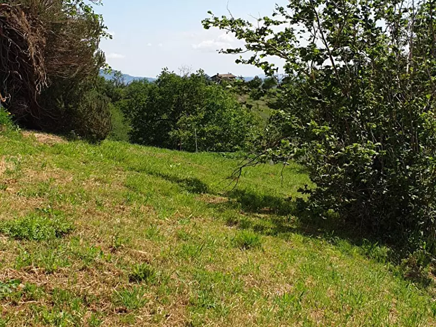 Immagine 18 di Appartamento in vendita  in strada scalelle 2 a Roccafluvione