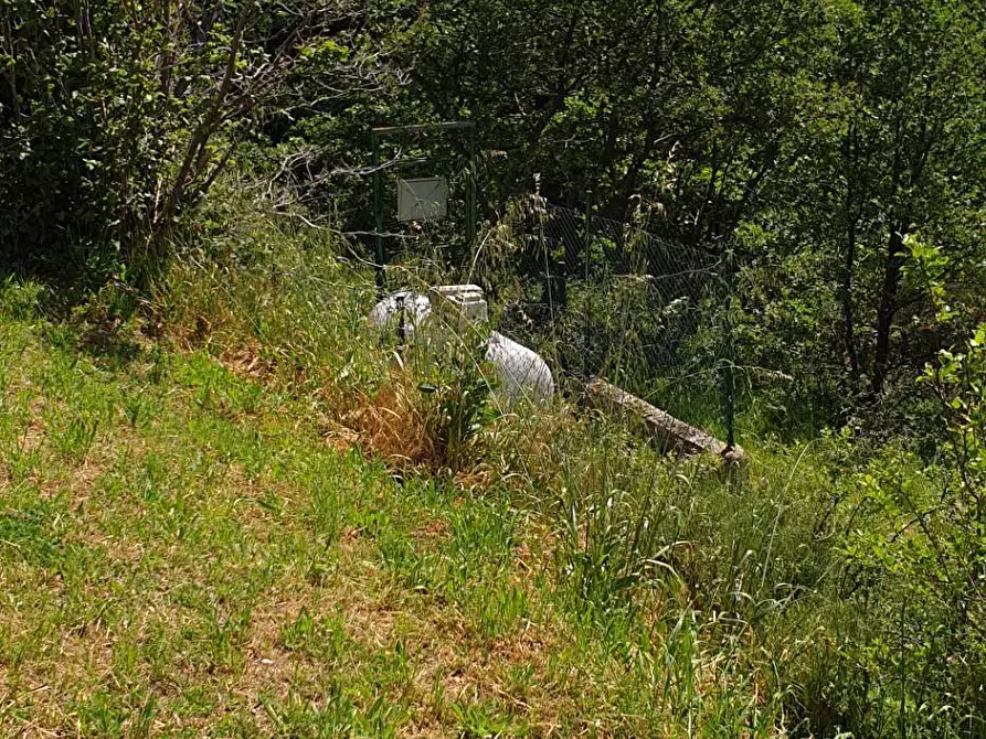 Immagine 19 di Appartamento in vendita  in strada scalelle 2 a Roccafluvione