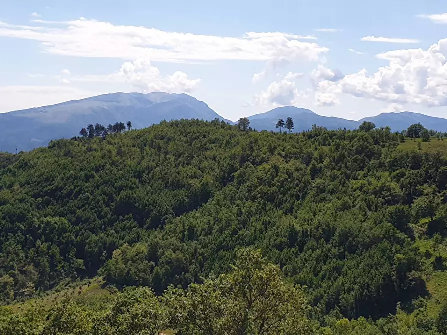 Immagine 21 di Appartamento in vendita  in strada scalelle 2 a Roccafluvione