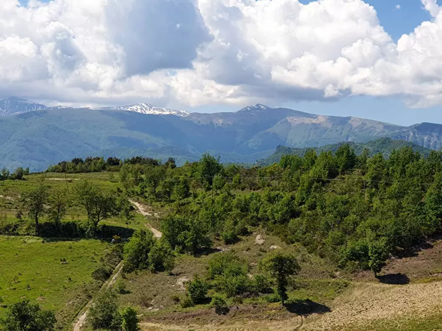 Immagine 25 di Appartamento in vendita  in strada scalelle 2 a Roccafluvione
