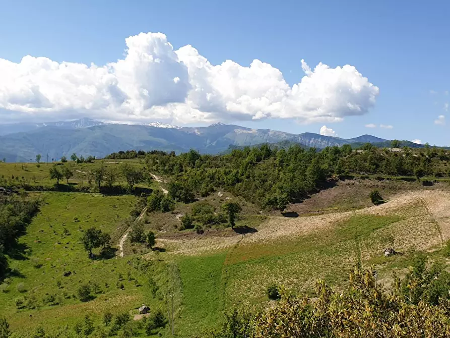 Immagine 24 di Appartamento in vendita  in strada scalelle 2 a Roccafluvione