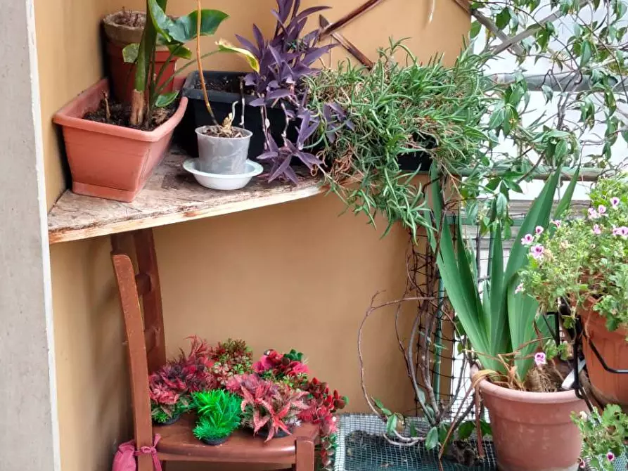 Immagine 24 di Appartamento in vendita  a Ascoli Piceno