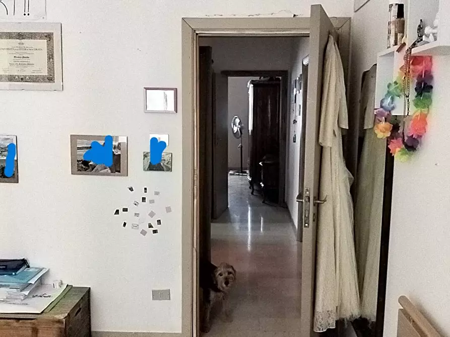 Immagine 17 di Appartamento in vendita  a Ascoli Piceno