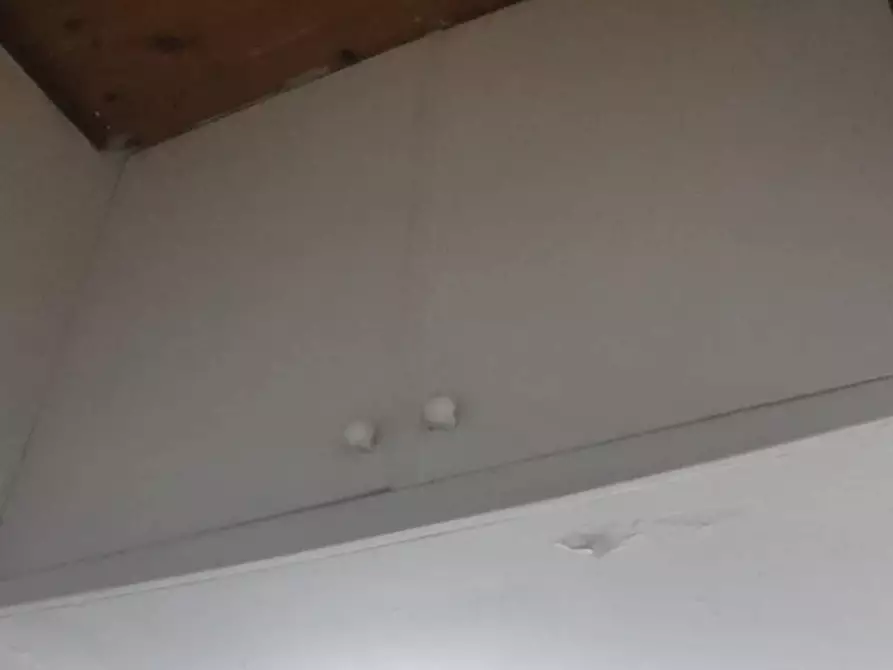 Immagine 14 di Appartamento in vendita  a Ascoli Piceno