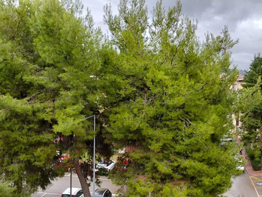 Immagine 13 di Appartamento in vendita  a Ascoli Piceno