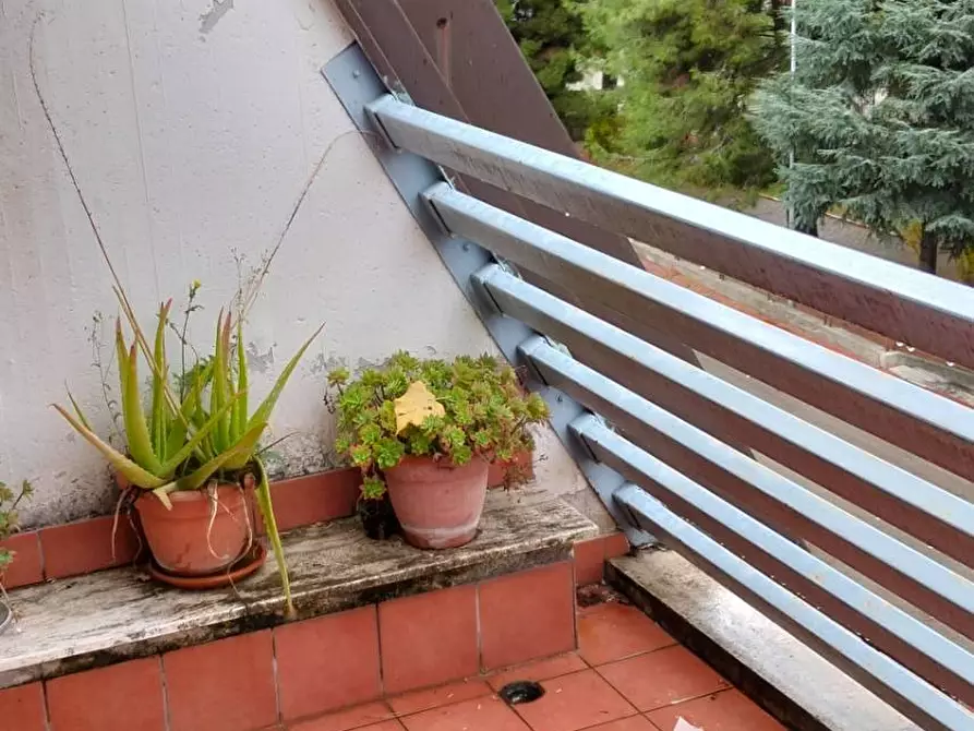 Immagine 12 di Appartamento in vendita  a Ascoli Piceno