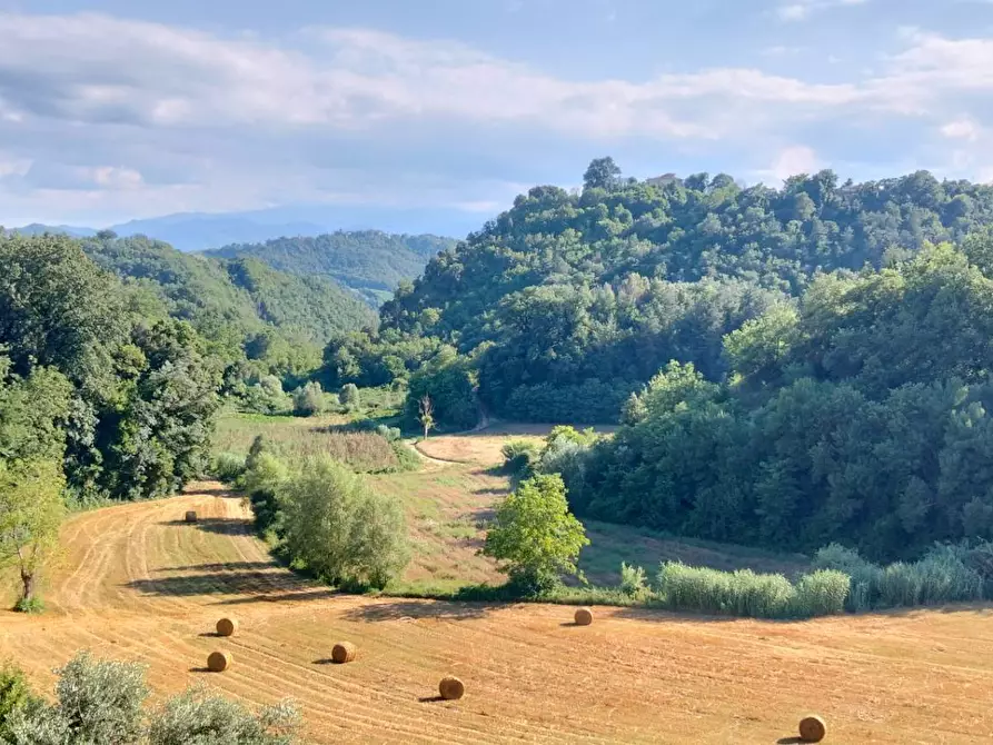Immagine 20 di Casa indipendente in vendita  8 a Ascoli Piceno