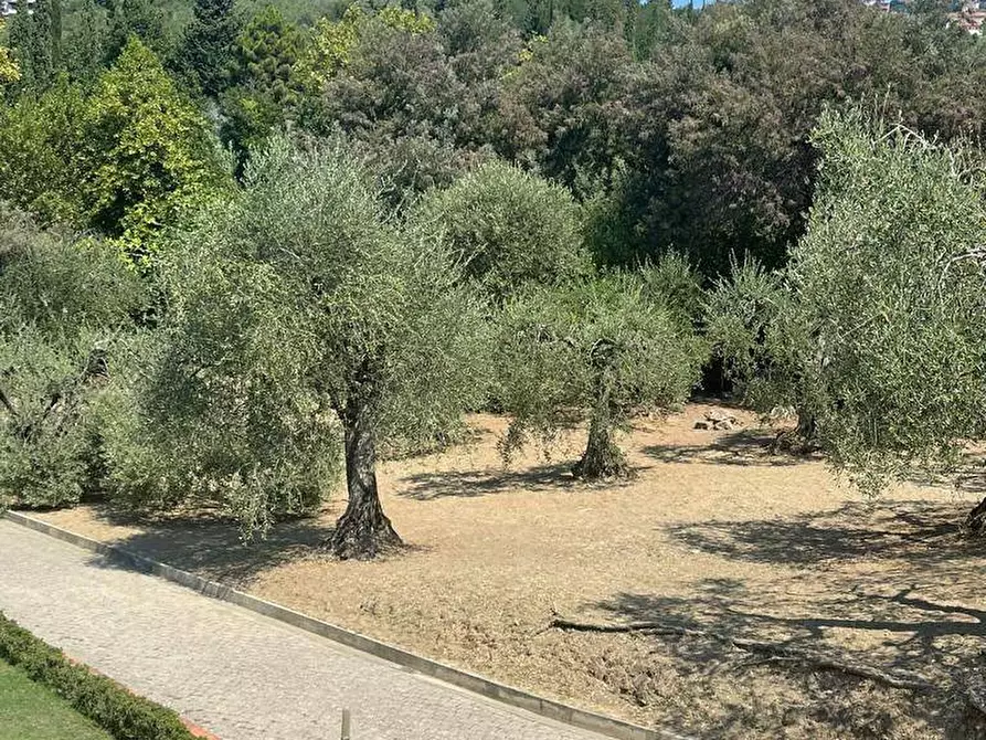 Immagine 10 di Rustico / casale in vendita  a Massarosa