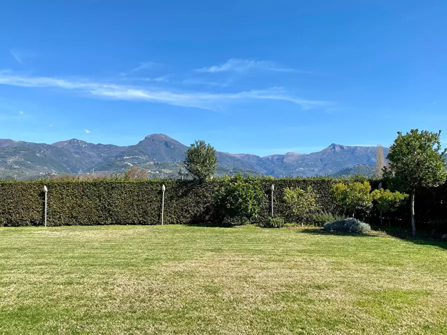 Immagine 2 di Villa in vendita  in Gallino a Camaiore