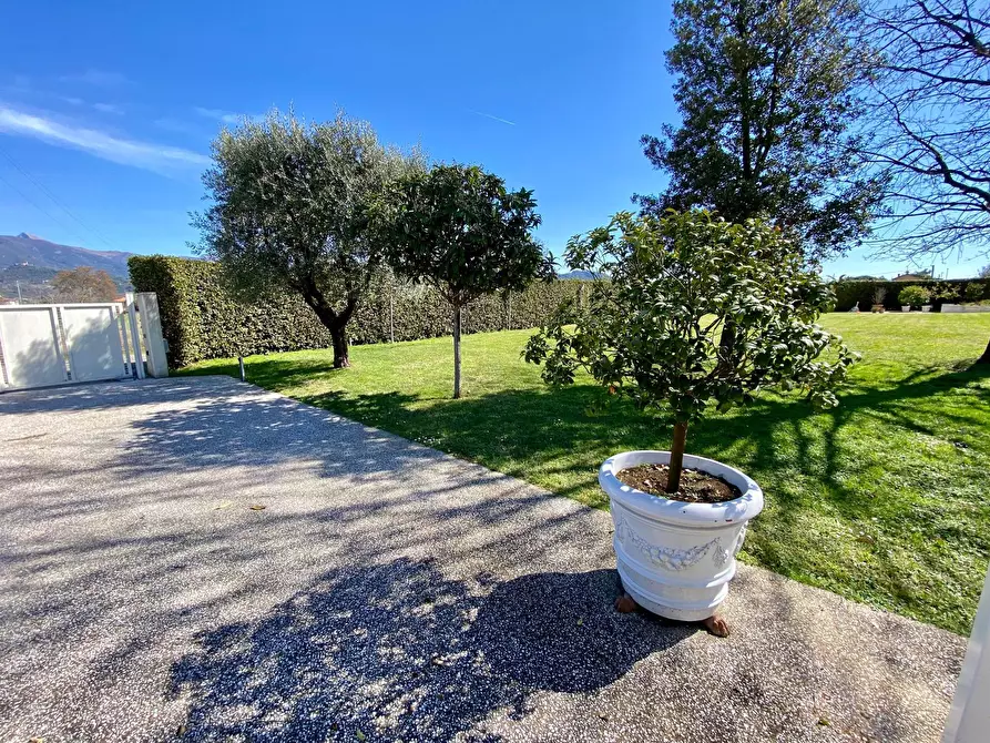 Immagine 38 di Villa in vendita  in Gallino a Camaiore