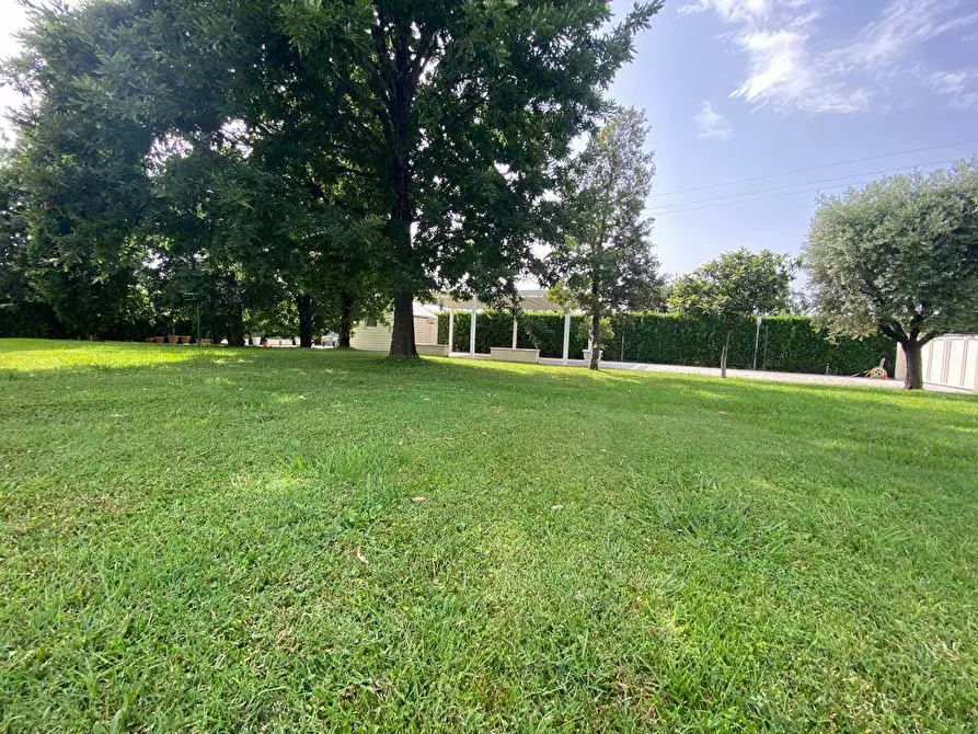 Immagine 41 di Villa in vendita  in Gallino a Camaiore