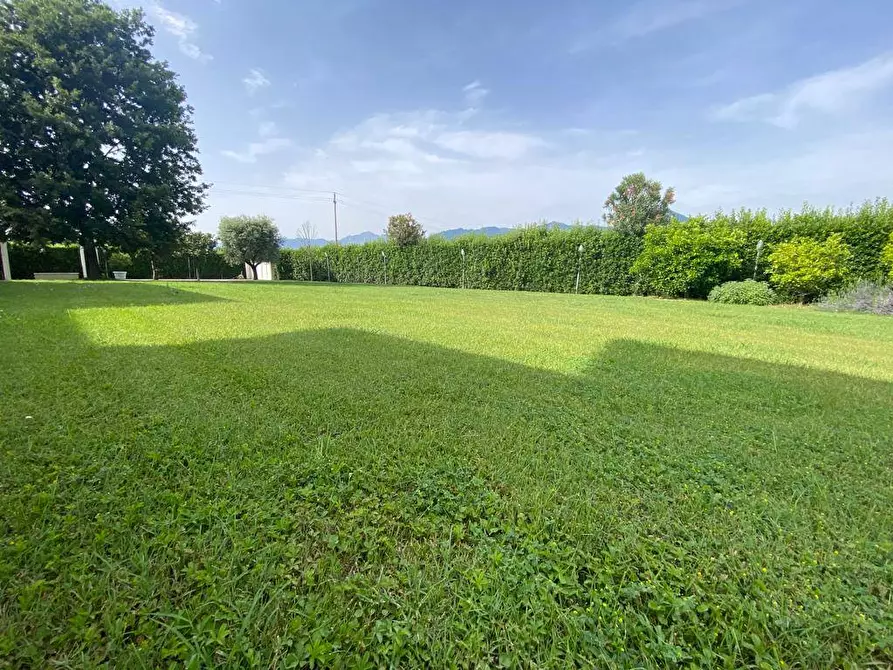 Immagine 42 di Villa in vendita  in Gallino a Camaiore