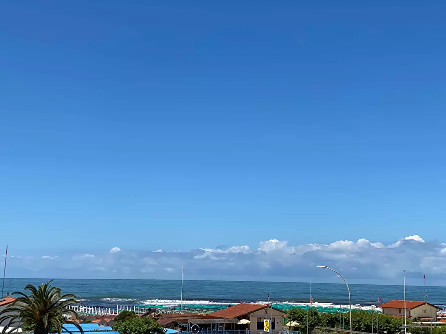 Immagine 2 di Attività commerciale in vendita  a Viareggio