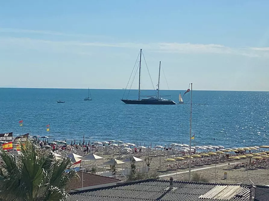 Immagine 3 di Attività commerciale in vendita  a Viareggio