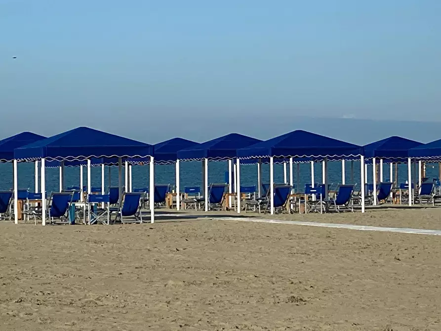 Immagine 9 di Attività commerciale in vendita  a Viareggio