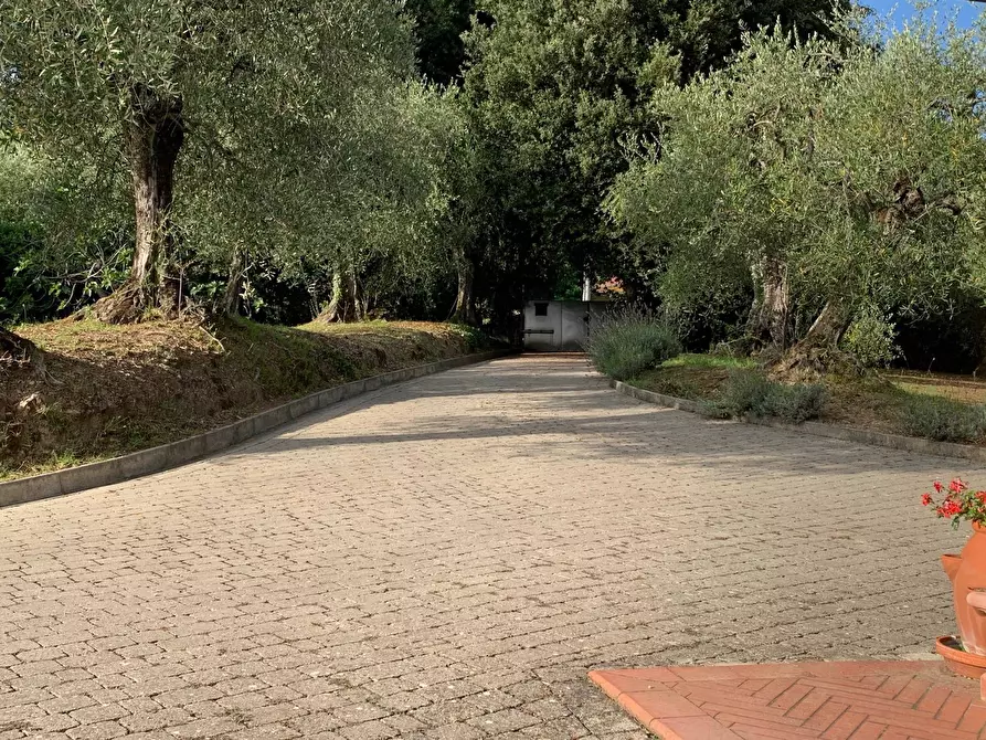 Immagine 12 di Rustico / casale in vendita  a Massarosa