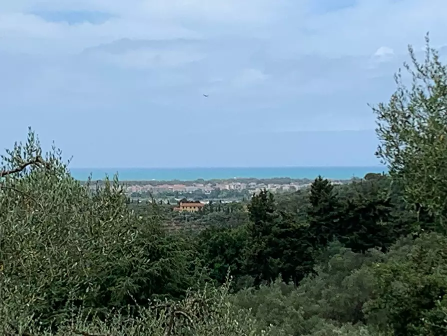 Immagine 19 di Rustico / casale in vendita  a Massarosa