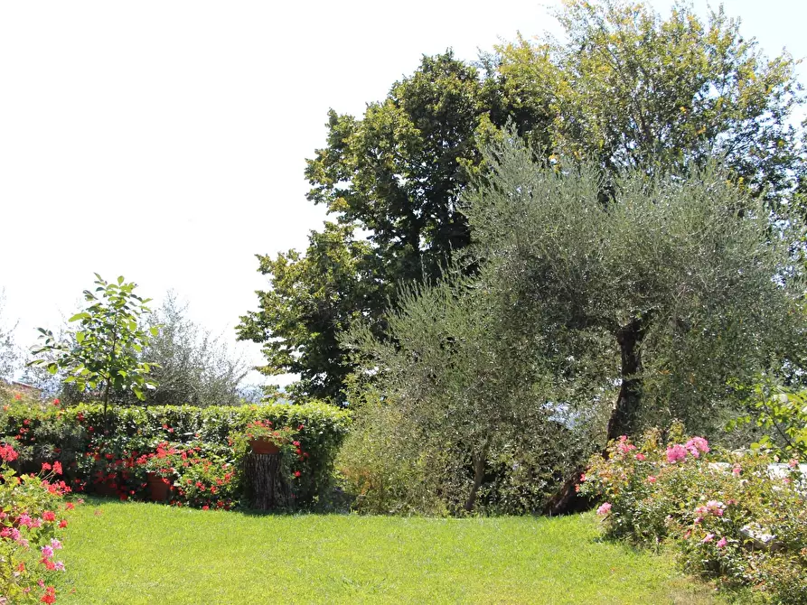 Immagine 22 di Rustico / casale in vendita  a Massarosa