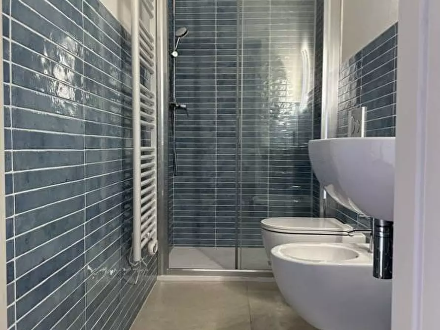 Immagine 19 di Villa in affitto  in Via C. Colombo a Forte Dei Marmi