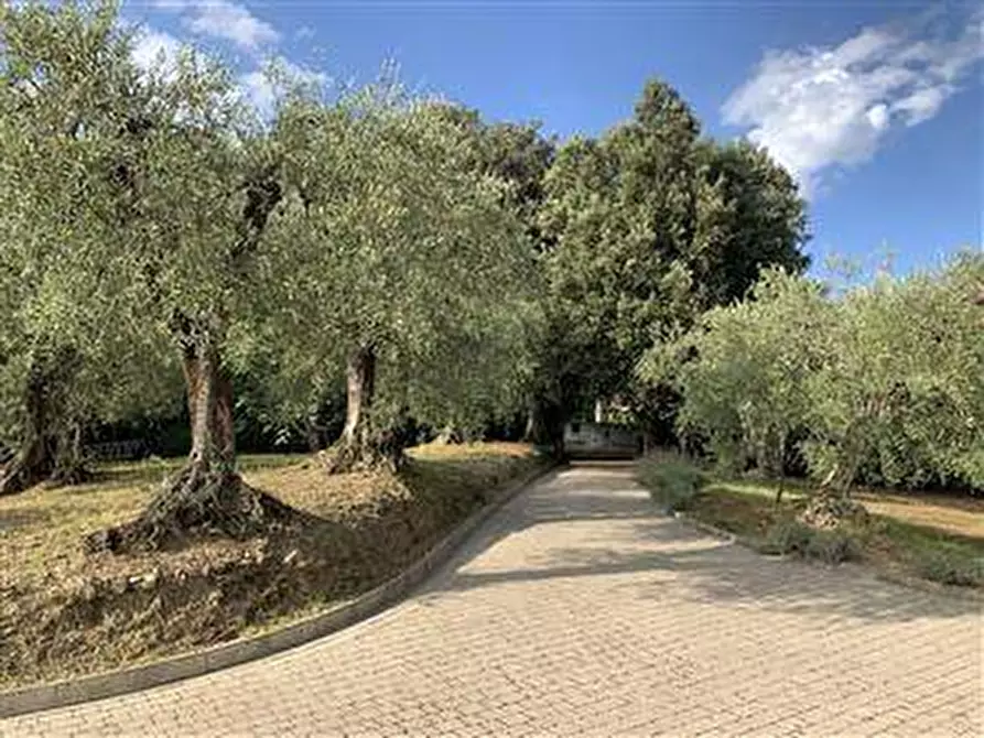 Immagine 28 di Rustico / casale in vendita  a Massarosa