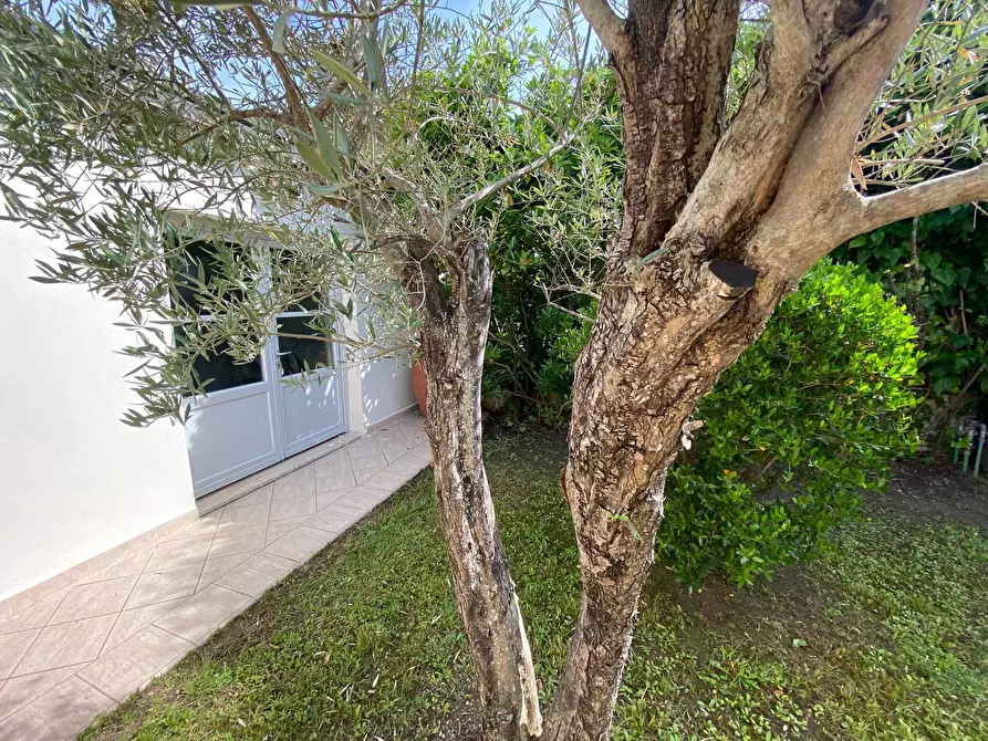 Immagine 35 di Casa semindipendente in affitto  in Forte dei Marmi Via Duca D'Aosta a Forte Dei Marmi