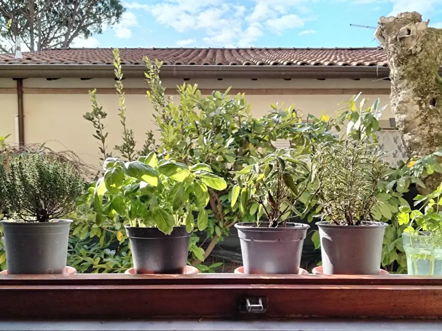 Immagine 22 di Casa semindipendente in affitto  in Duca degli Abruzzi a Forte Dei Marmi