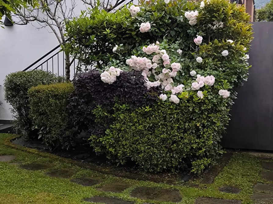 Immagine 27 di Villetta a schiera in vendita  in 1 maggio a Montignoso