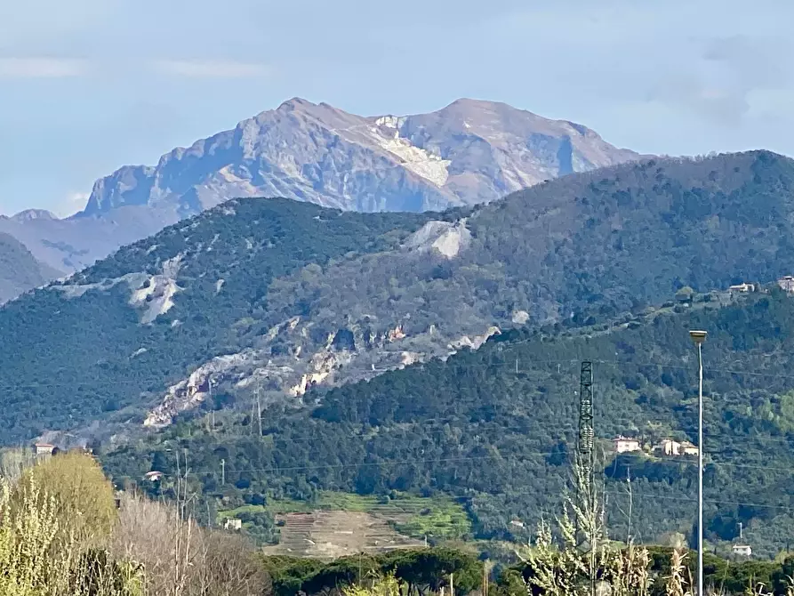 Immagine 4 di Villa in vendita  a Pietrasanta