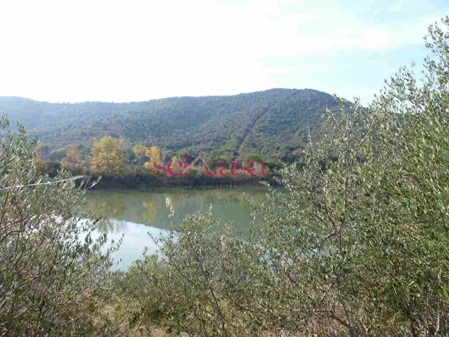 Immagine 9 di Rustico / casale in vendita  a Castiglione Della Pescaia