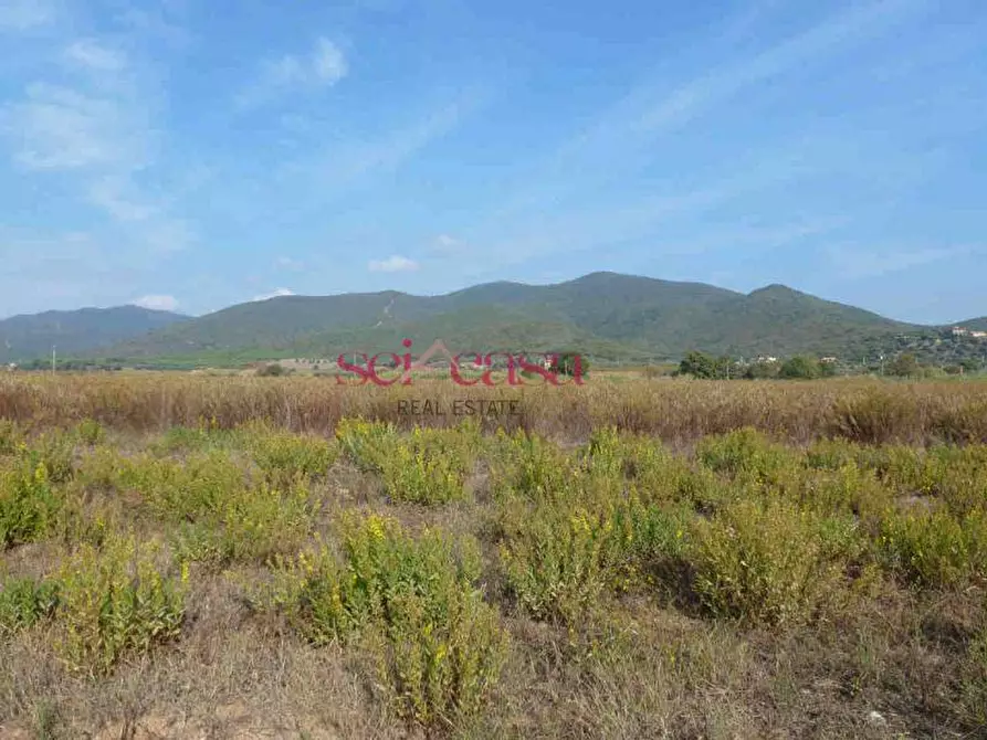 Immagine 10 di Rustico / casale in vendita  a Castiglione Della Pescaia